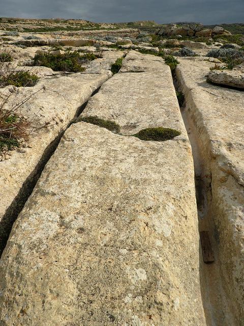 Ramessos: So-called cart-ruts near Dwejra point, Gozo (Malta)